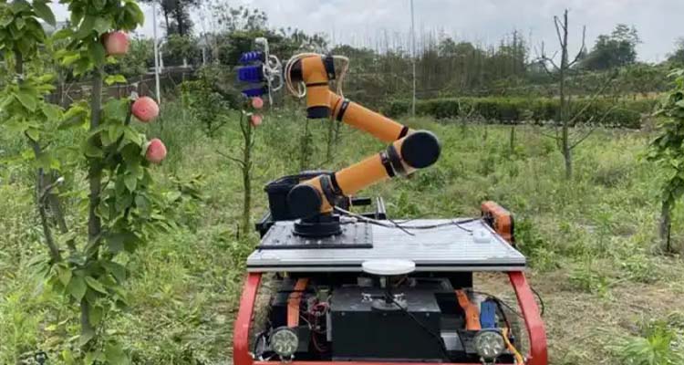 Fruit Harvesting Robot Harness